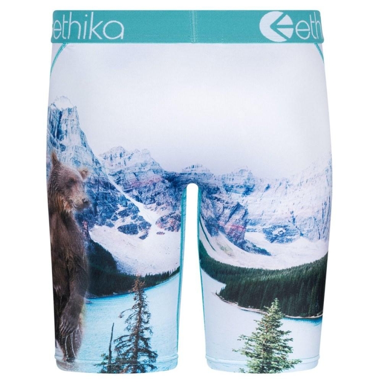 Staple Underwear Ethika Brother Bears Blanche Homme | TJDN-78336562