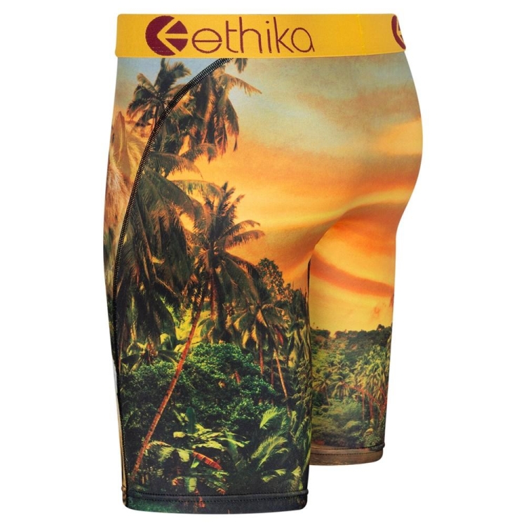 Staple Underwear Ethika Easy Tiger Jaune Homme | WQRD-65523451