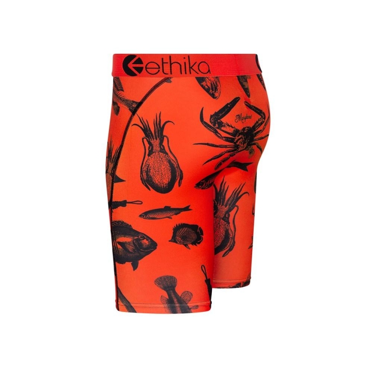 Sous Vêtement Ethika Maryland Staple Orange Garcon | XMYD-40694190