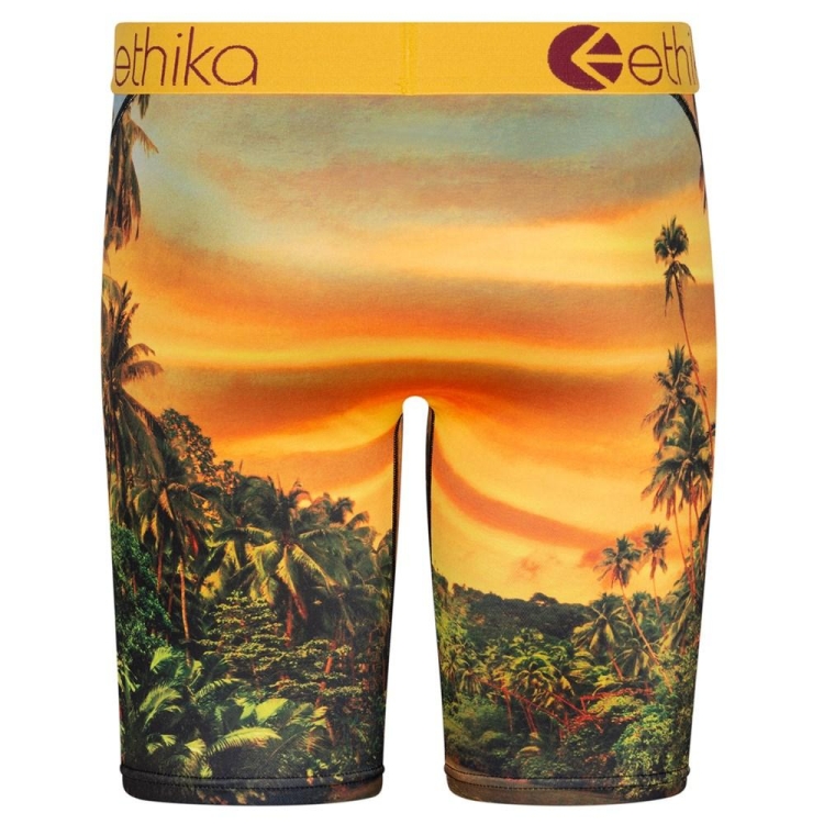 Staple Underwear Ethika Easy Tiger Jaune Homme | WQRD-65523451