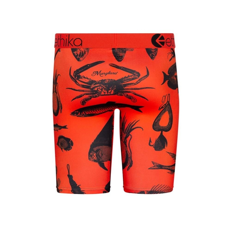 Sous Vêtement Ethika Maryland Staple Orange Garcon | XMYD-40694190