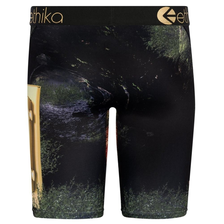 Staple Underwear Ethika Lions Den Noir Homme | PUBR-38776080